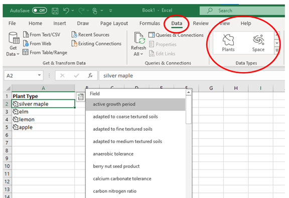 data types in excel